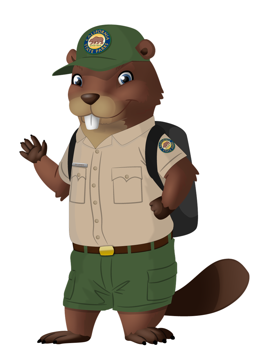 Cartoon beaver is ranger uniform waving hello